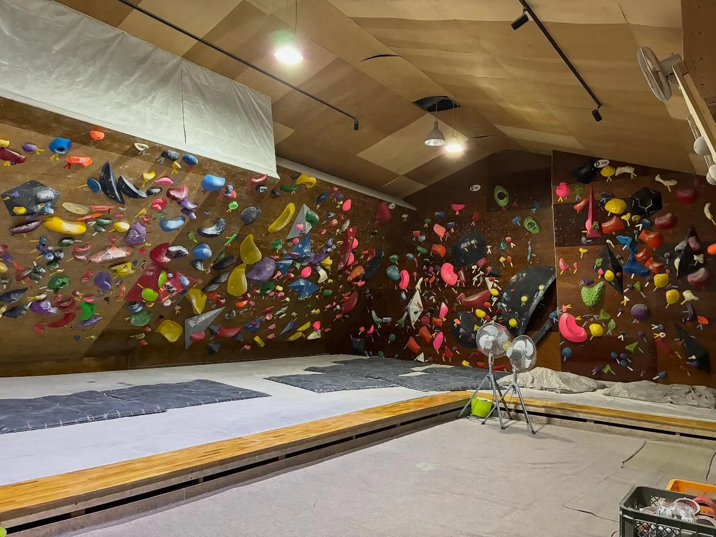 今日はガッキースクールです！