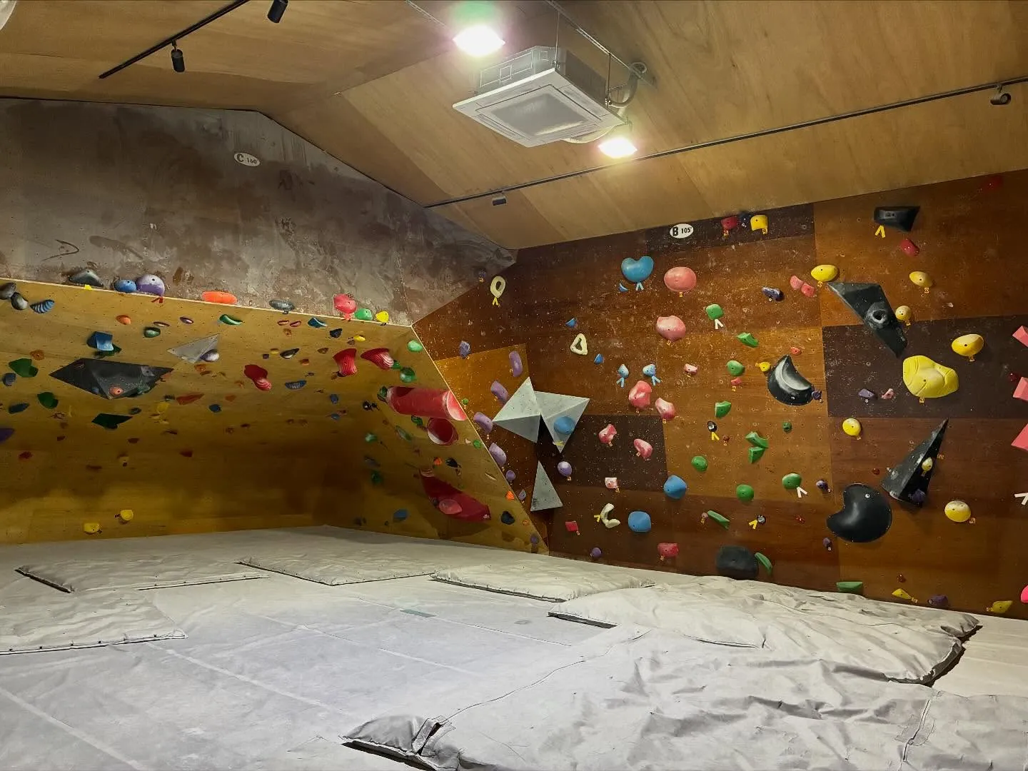 今日はガッキースクールです！