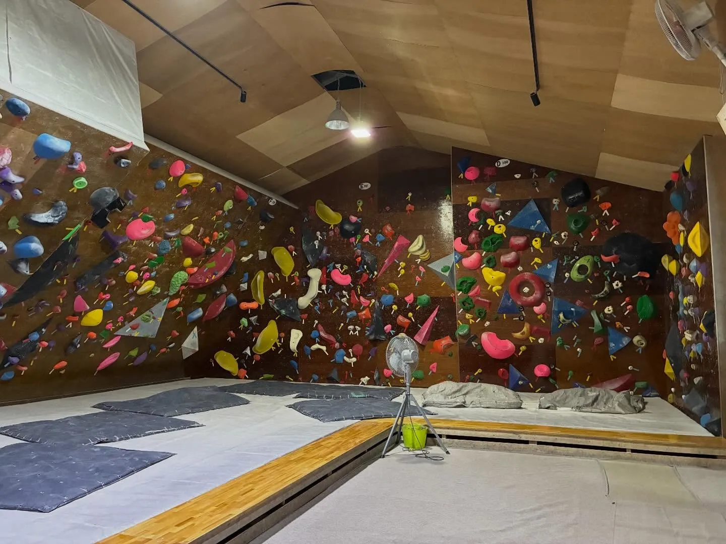 マンスリーセット完了！