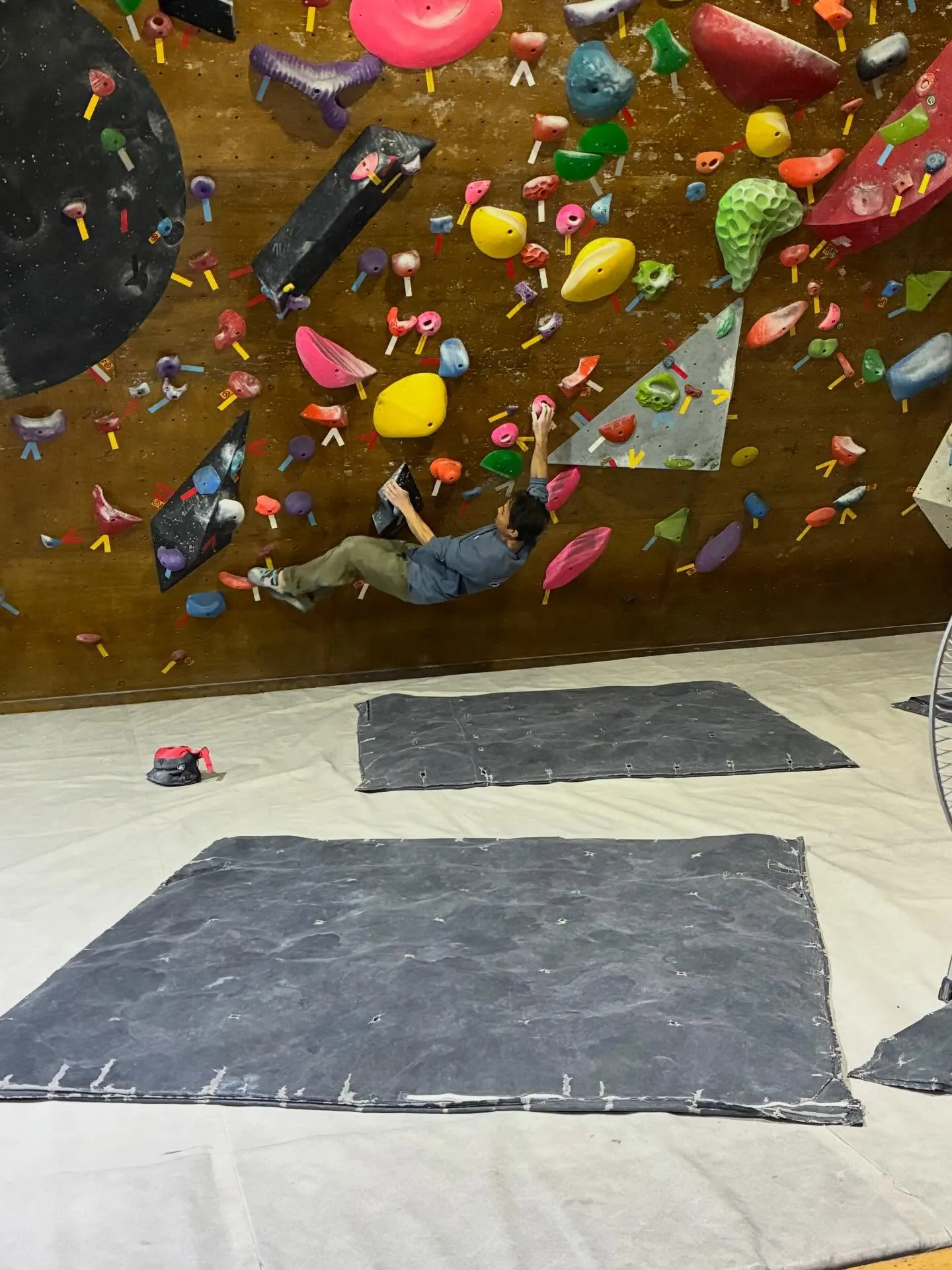 寒波も落ち着いて、暫くはそれほど寒くなさそうですね。