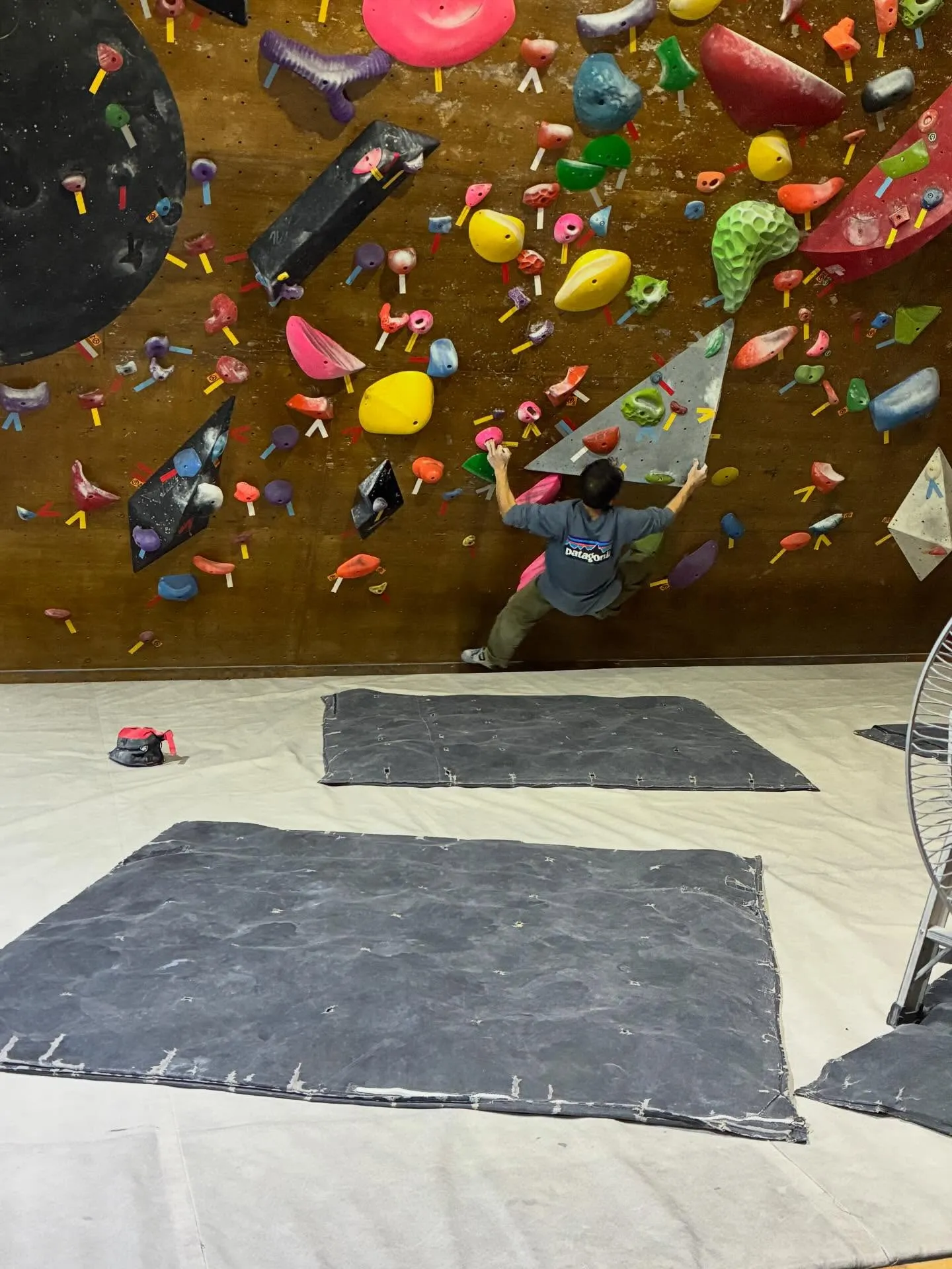 寒波も落ち着いて、暫くはそれほど寒くなさそうですね。