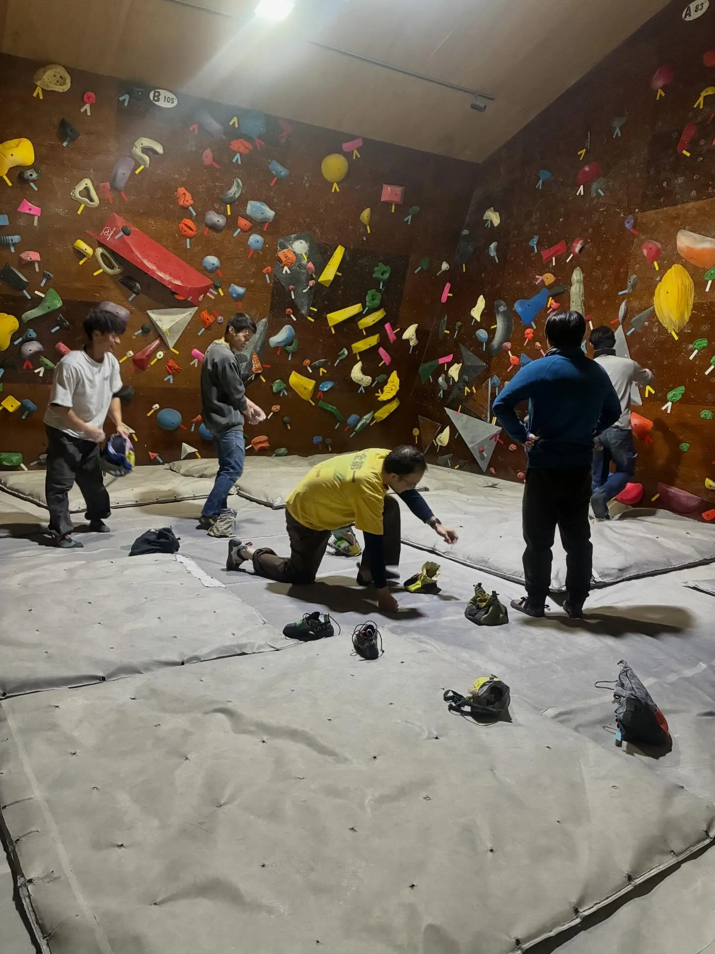 流石に今日はみんなこっち。