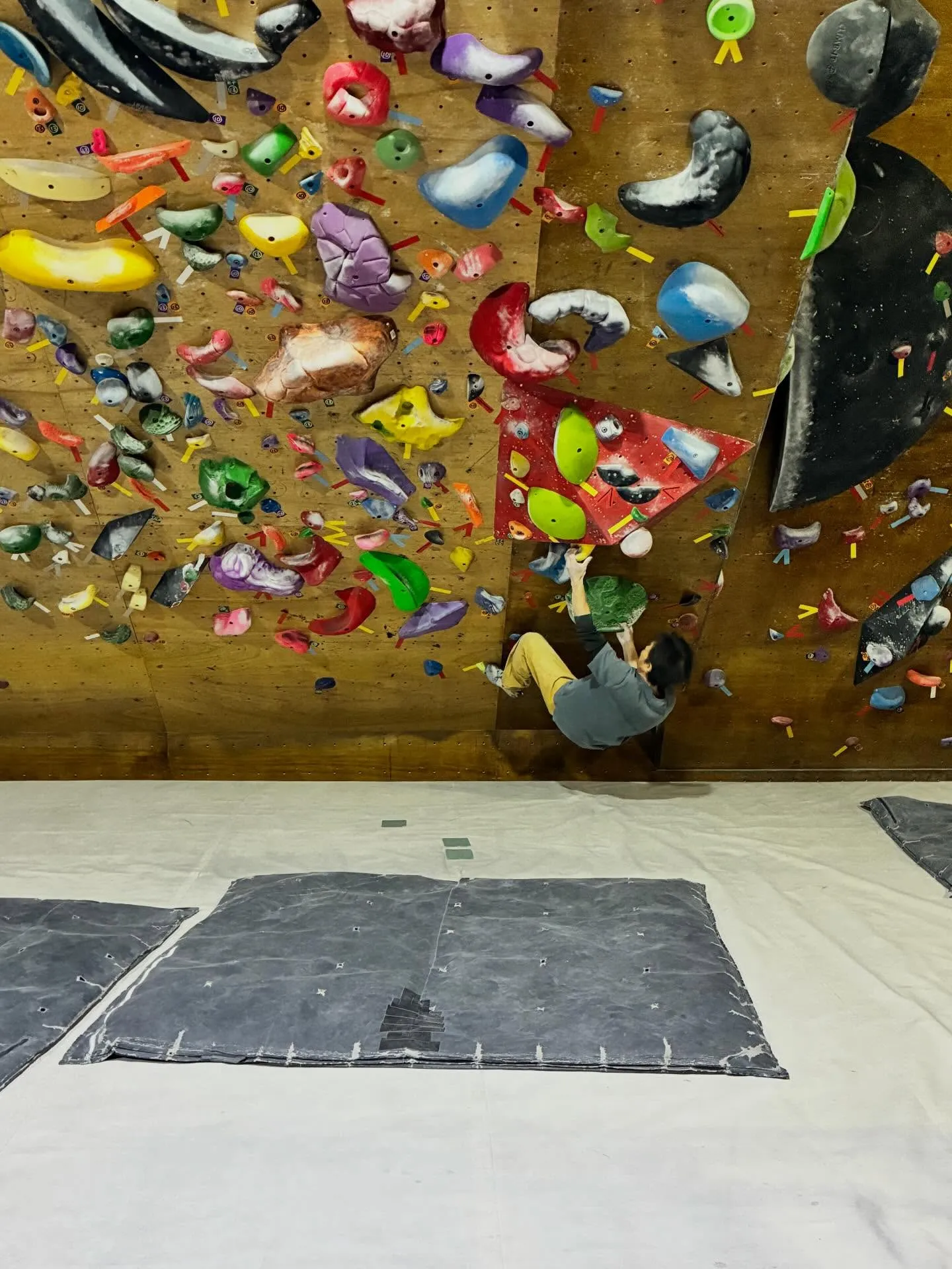 今日は今月最後のガッキースクールです！