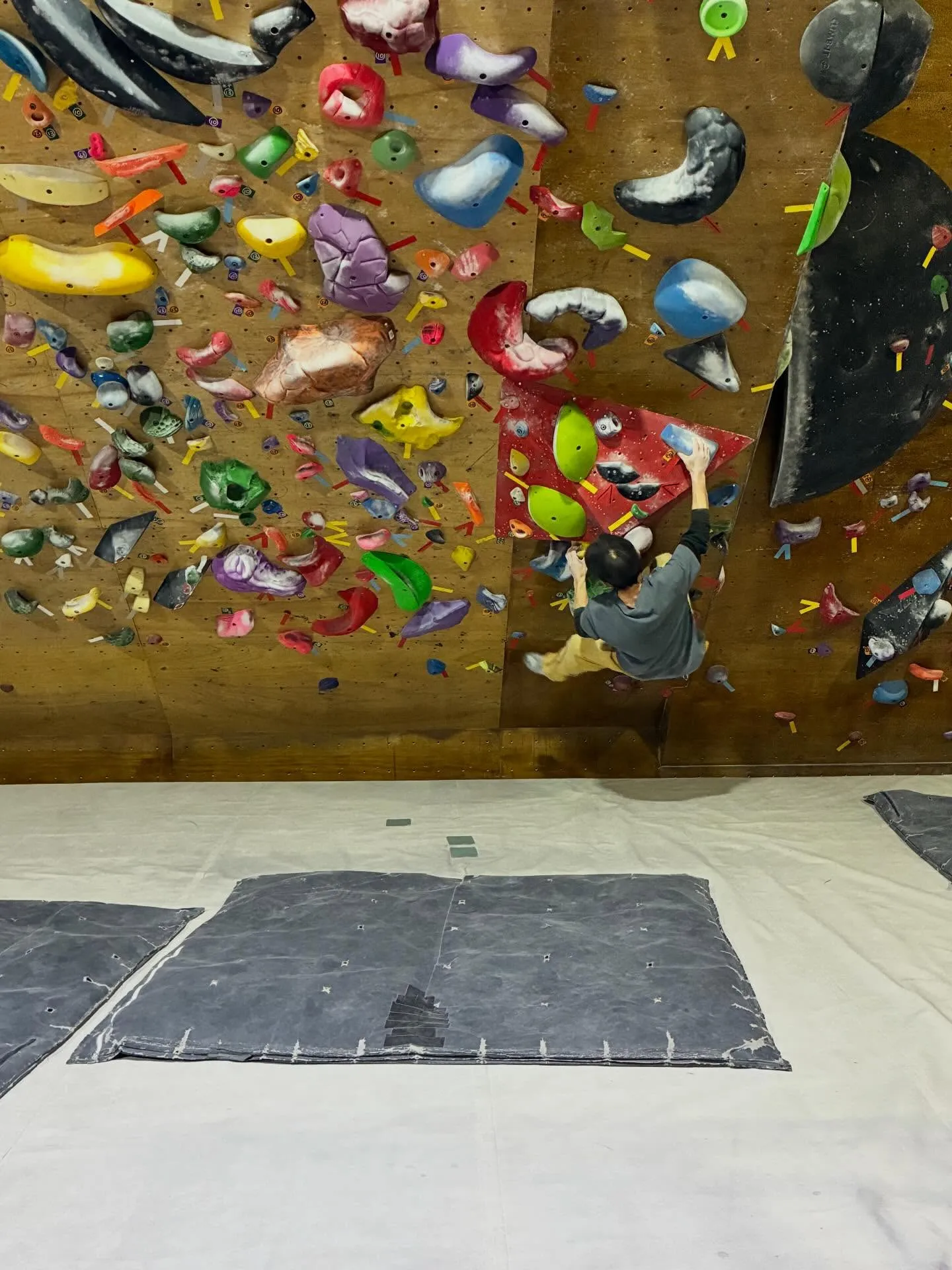 今日は今月最後のガッキースクールです！