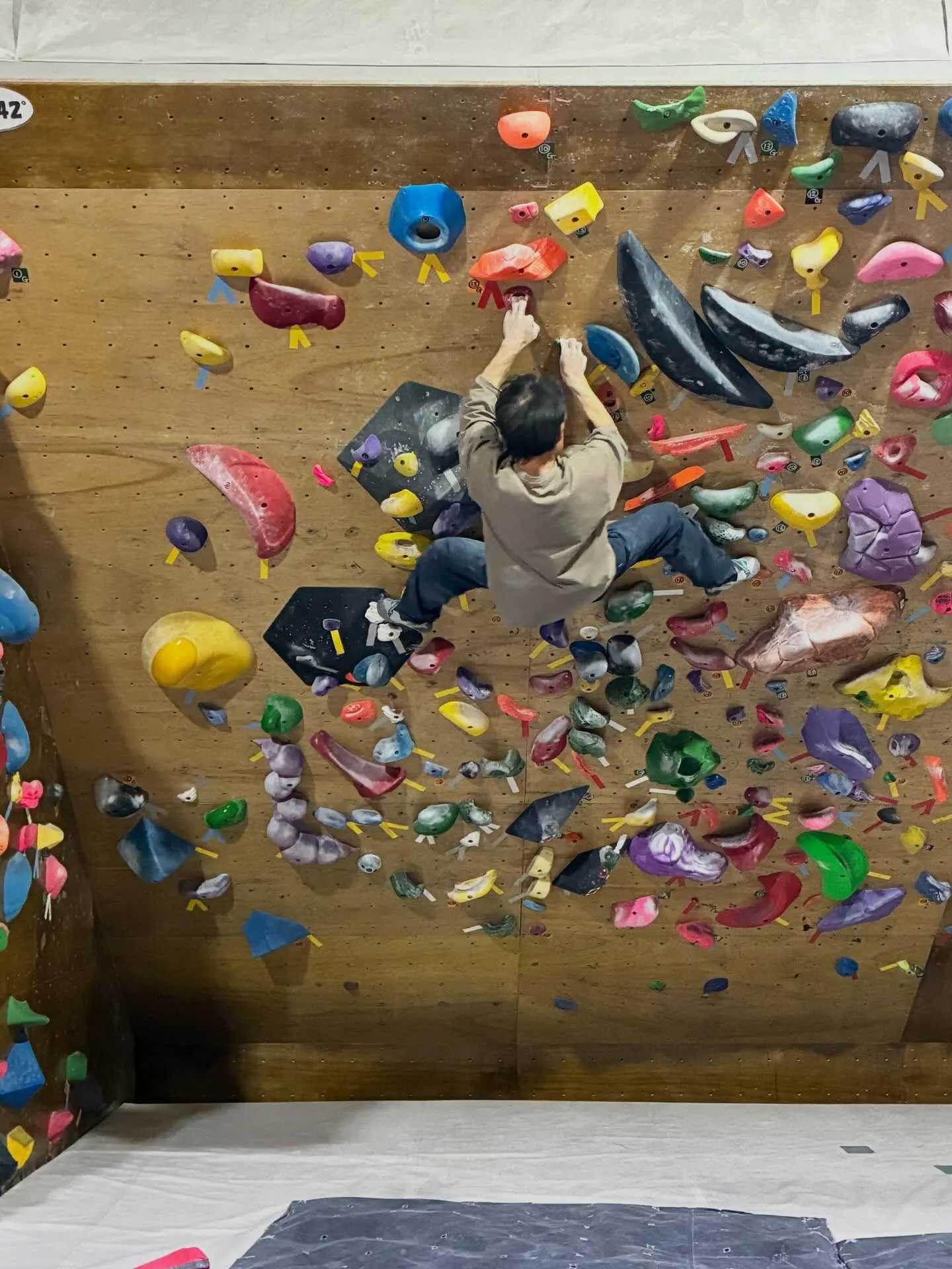 今日はガッキースクールです！