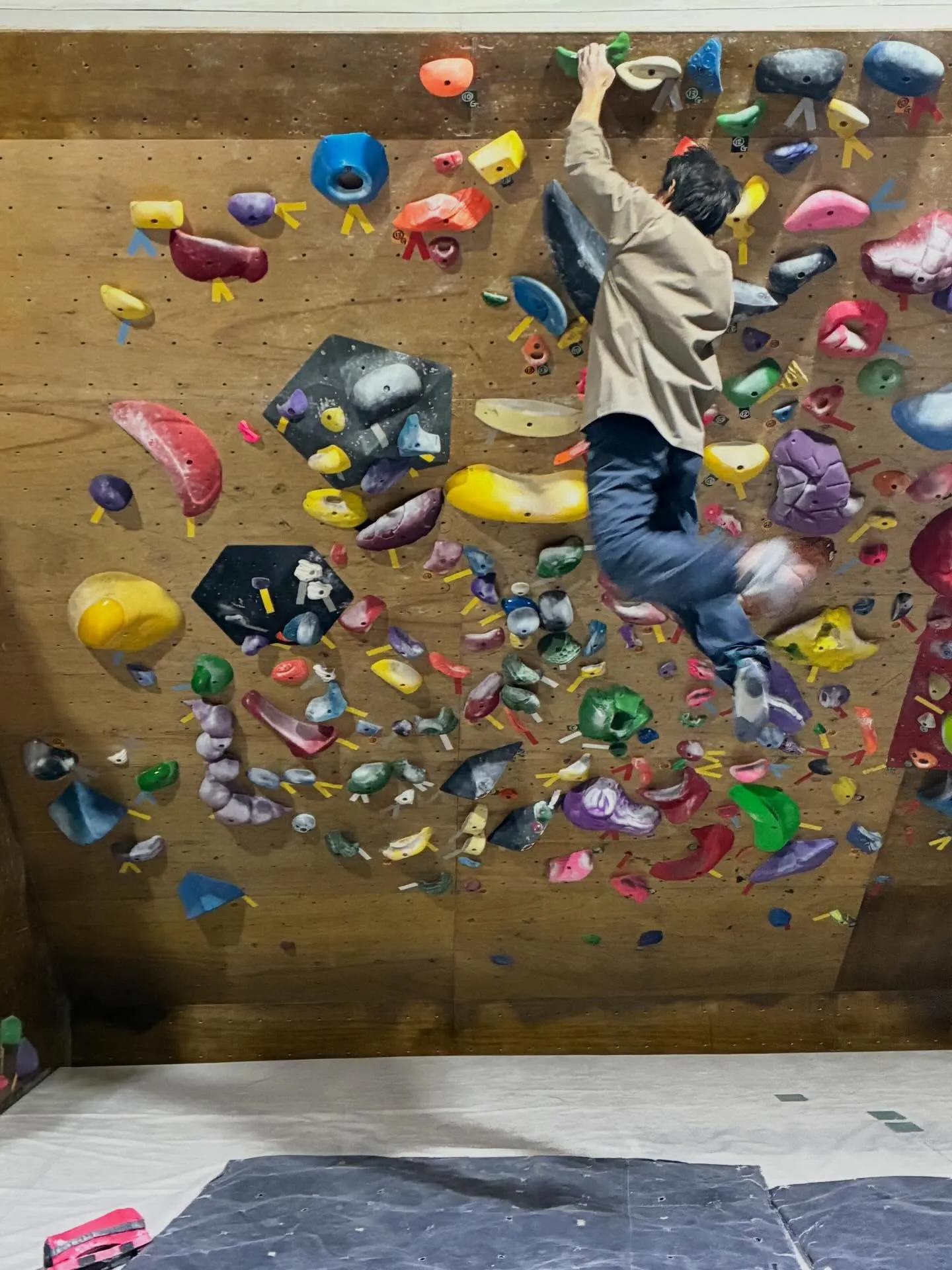 今日はガッキースクールです！