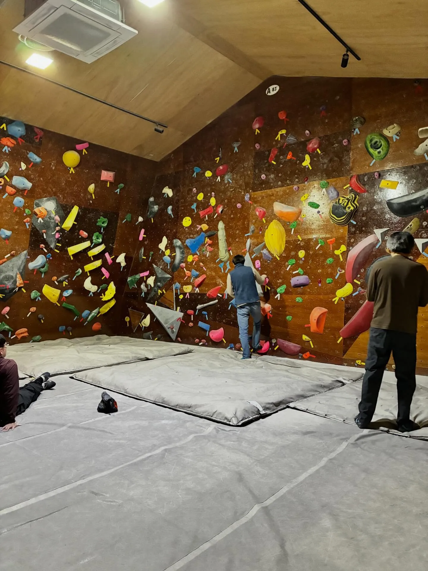 今日の午前中は貸切りでした。