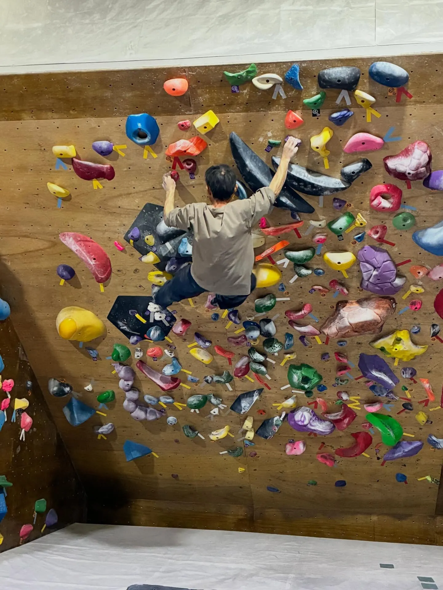 今日はガッキースクールです！