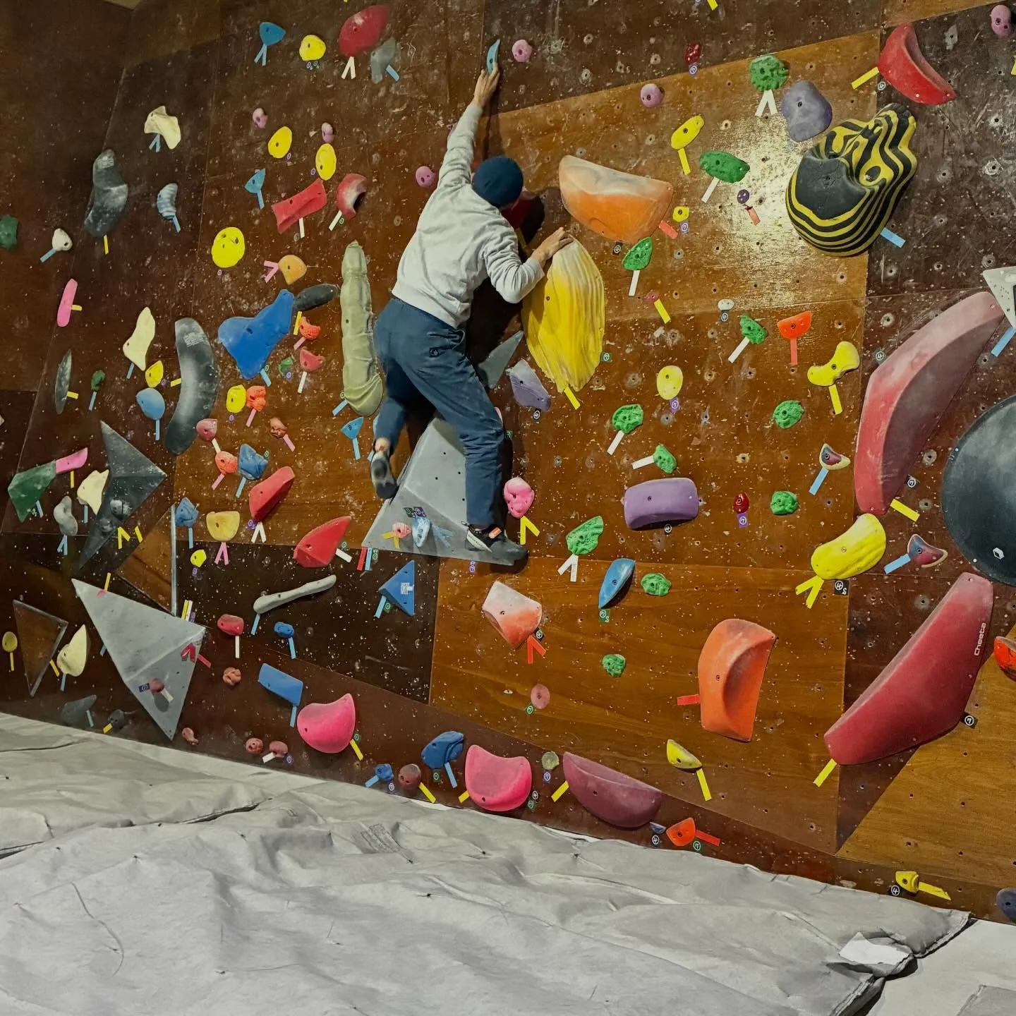 お久しぶりの方、いつもと違う時間に来られてる方。