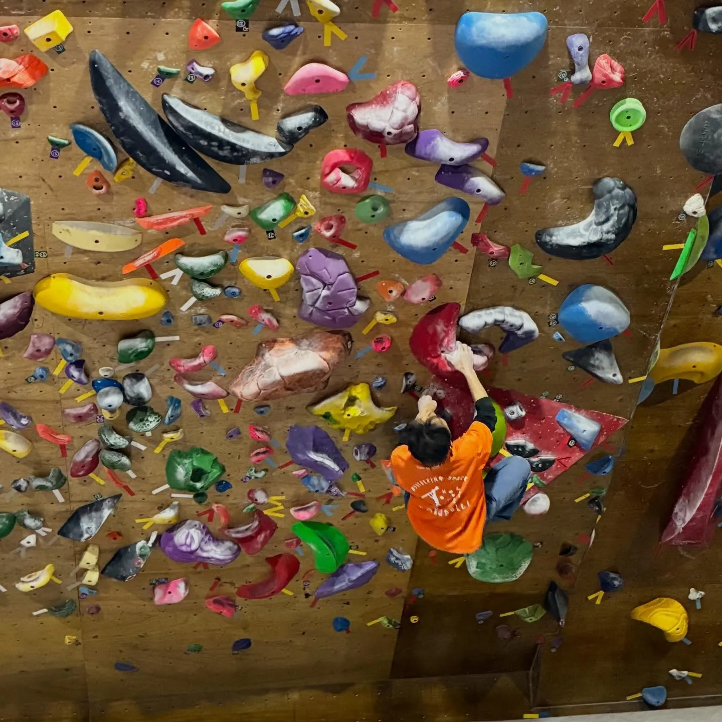 今日はガッキースクールです！