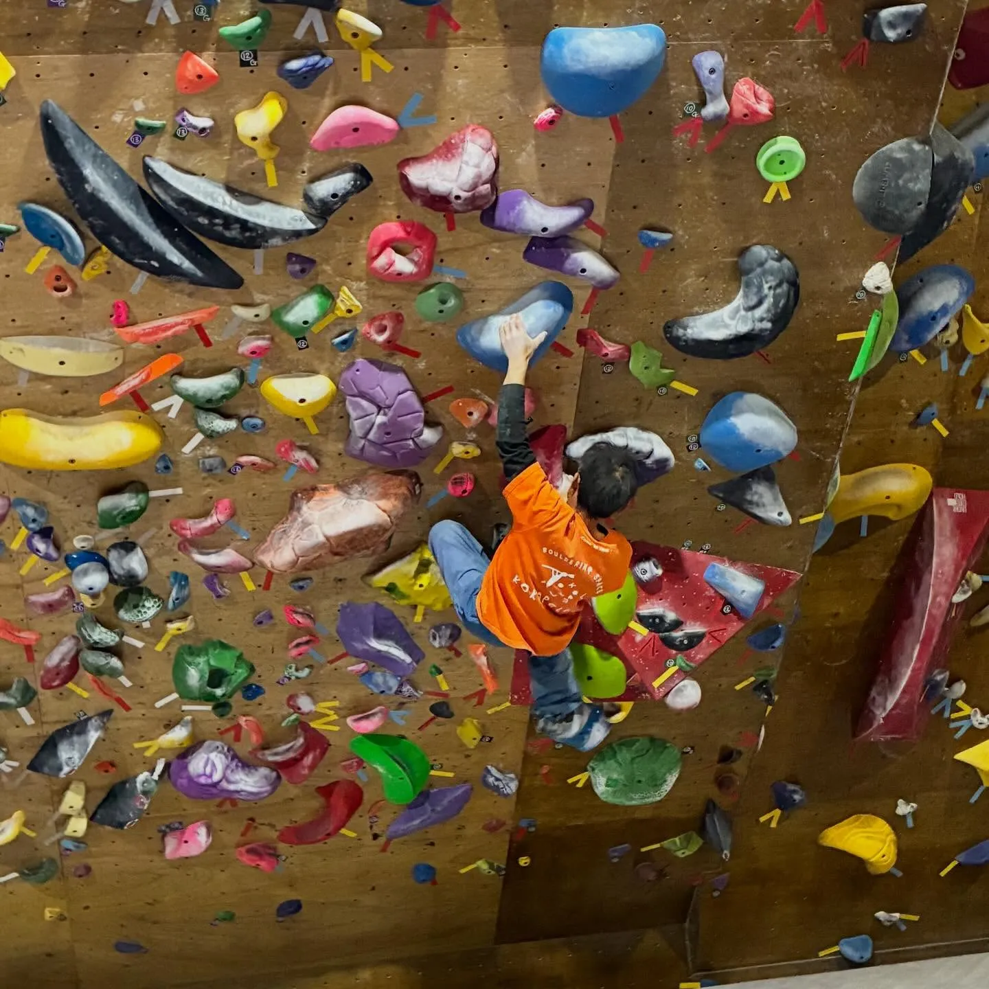 今日はガッキースクールです！