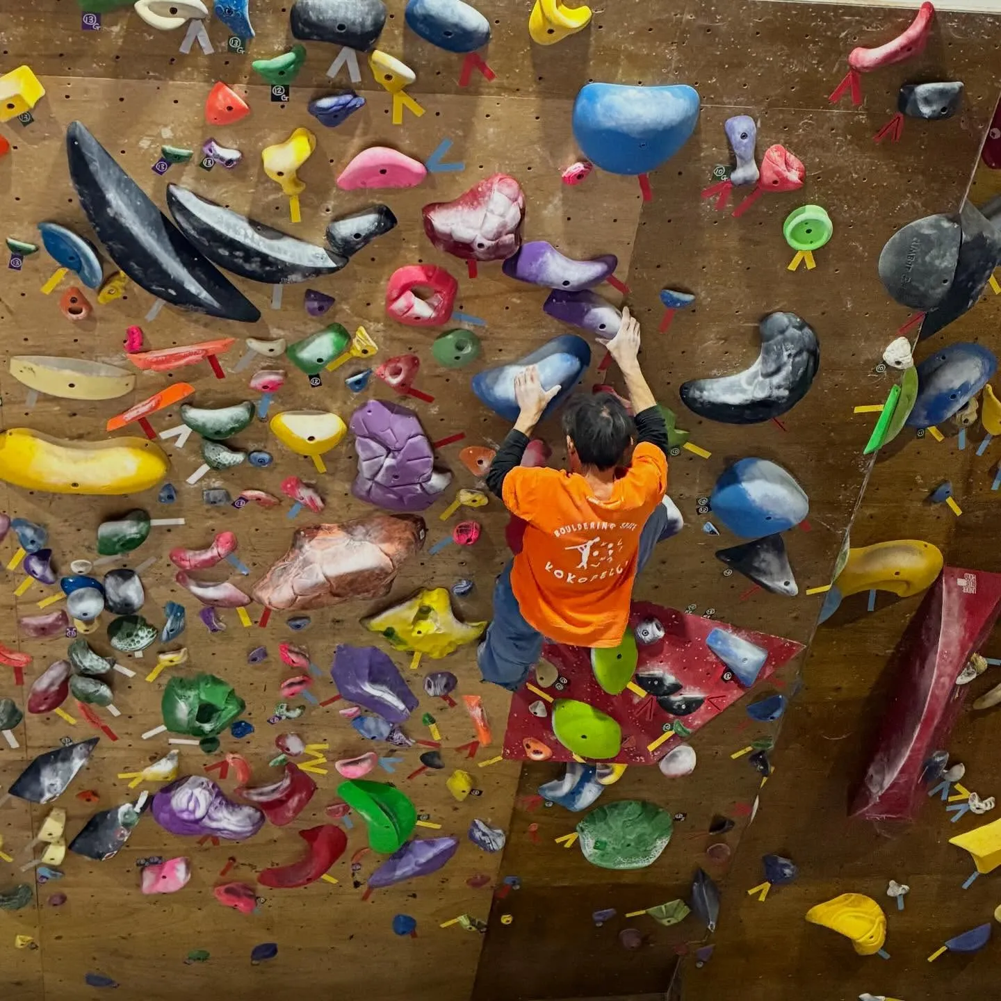 今日はガッキースクールです！