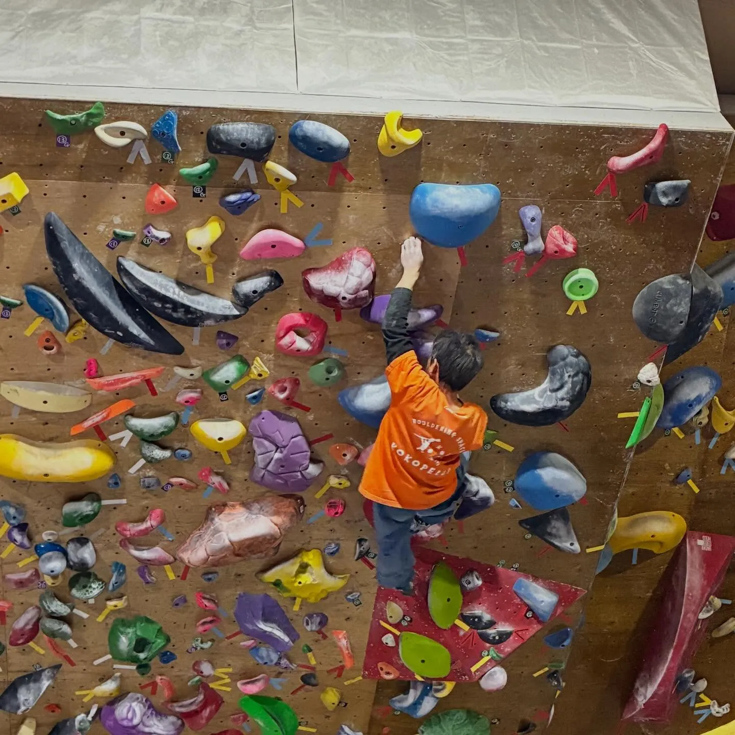 今日はガッキースクールです！