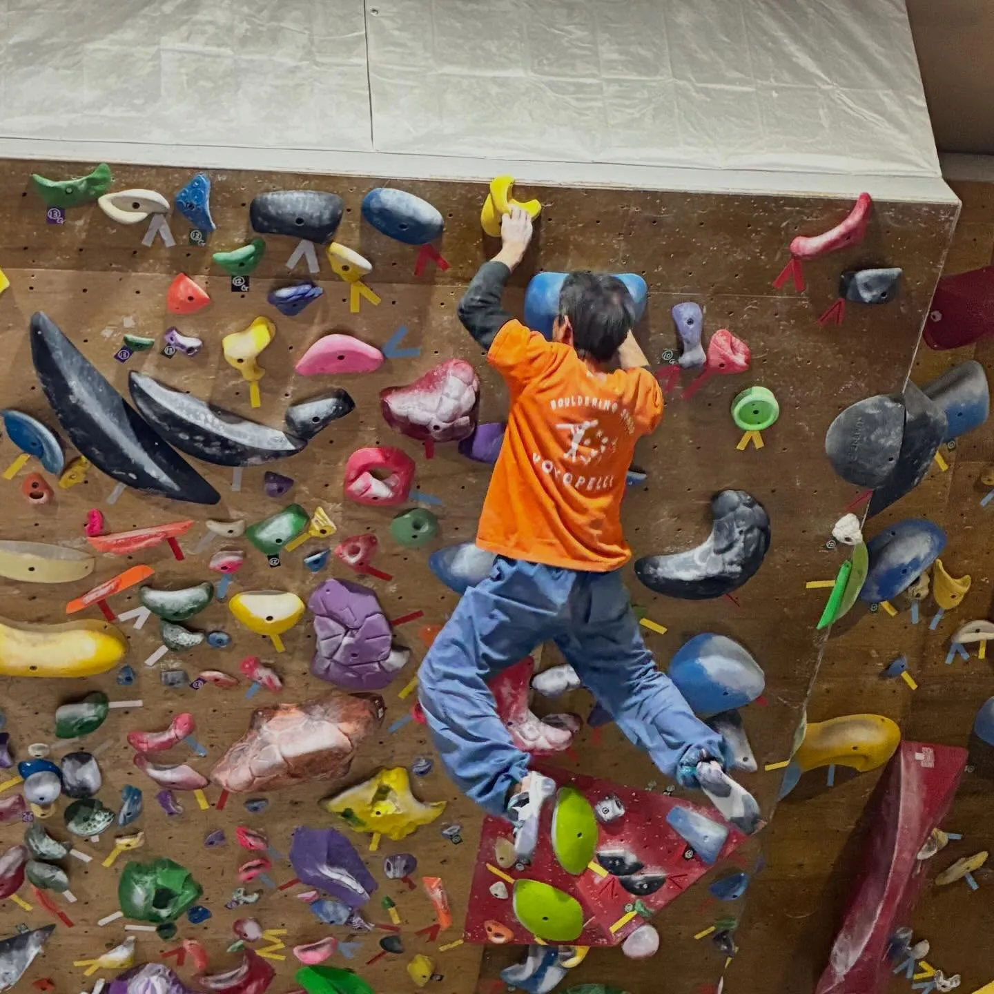 今日はガッキースクールです！