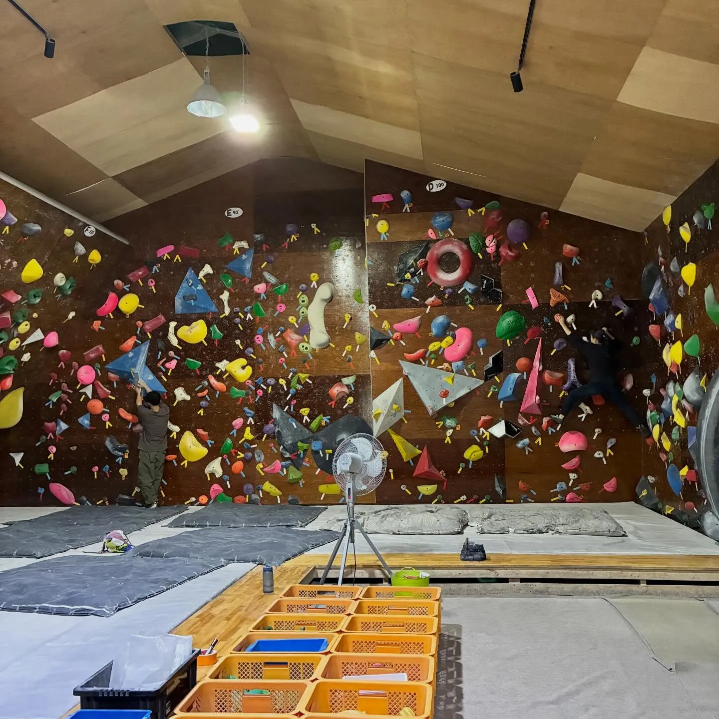 今日はガッキースクールです！