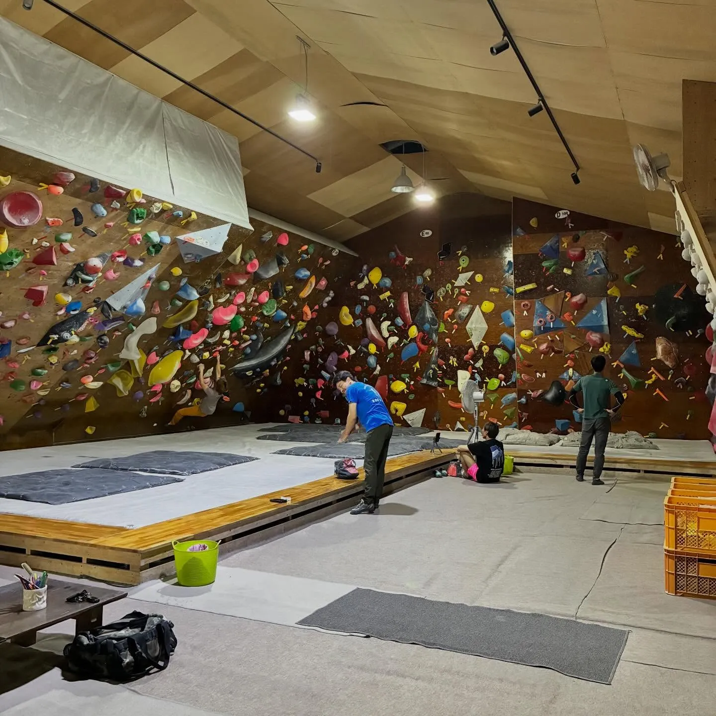 今日は水曜日ですが、祝日のため10時-20時で営業しておりま...